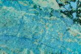 Polished Blue River Chrysocolla Slice - Arizona #167558-1